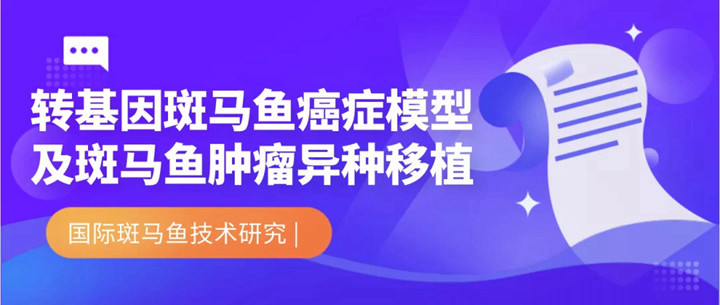 关于转基因斑马鱼癌症模型及斑马鱼肿瘤异种移植的研究