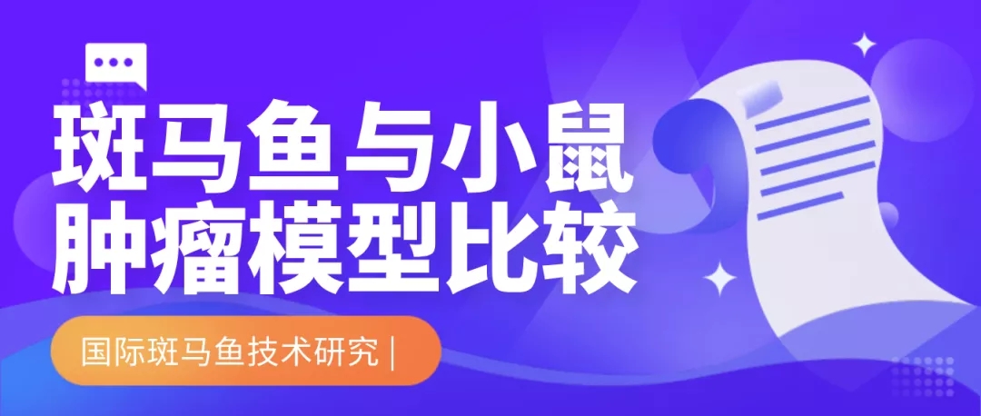 环特生物|国际研究|斑马鱼与小鼠肿瘤模型比较有哪些优势？