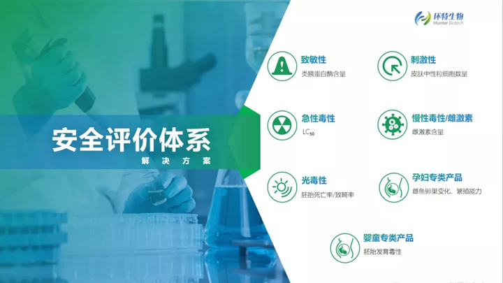 斑马鱼安全性评价体系