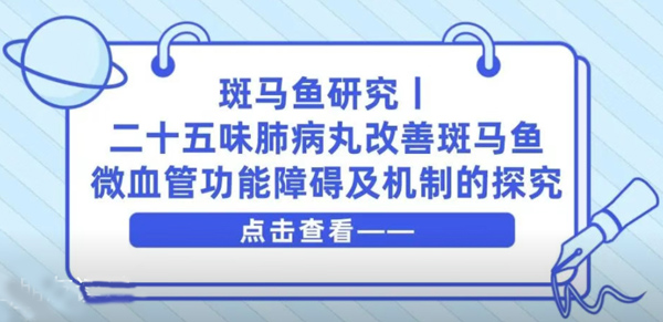 斑马鱼研究丨二十五味肺病丸改善斑马鱼微血管功能障碍及机制的探究