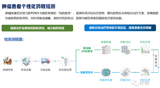 喜迎双“旦” ，放肆打“价”丨类器官 + 斑马鱼PDX肿瘤患者药敏检测、科研服务福利大放送！