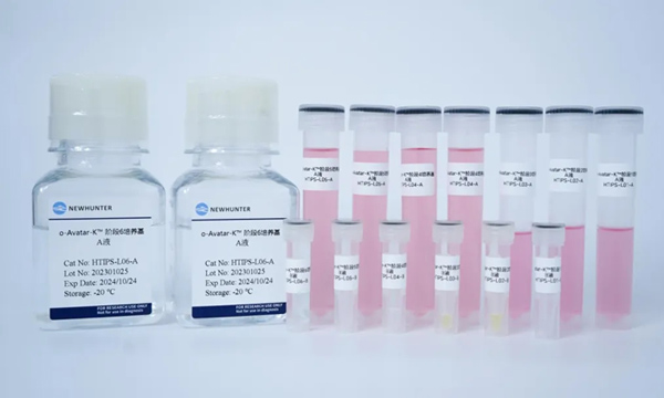 2款新品发布丨hiPSC诱导分化的环特全脑类器官、肺类器官试剂盒又双叒叕上新啦！