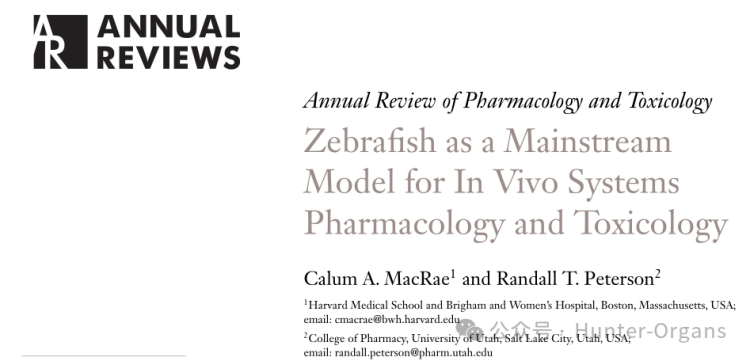 Annu. Rev. Pharmacool.：斑马鱼可作为药理学与毒理学的主流模型