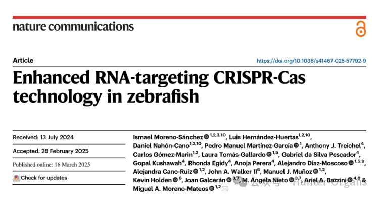 Nat. Commun.：基于斑马鱼的增强型RNA靶向CRISPR-Cas技术