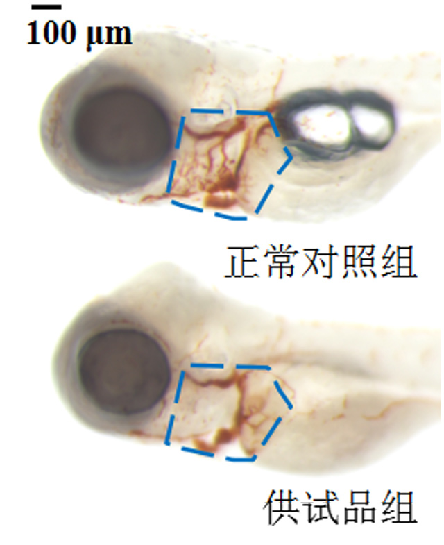 21-3.jpg 21-3.jpg