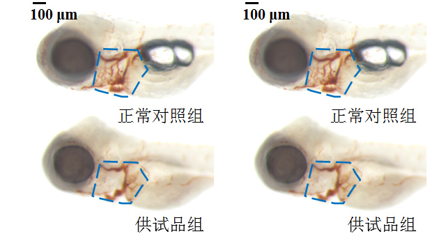15-3.jpg 15-3.jpg