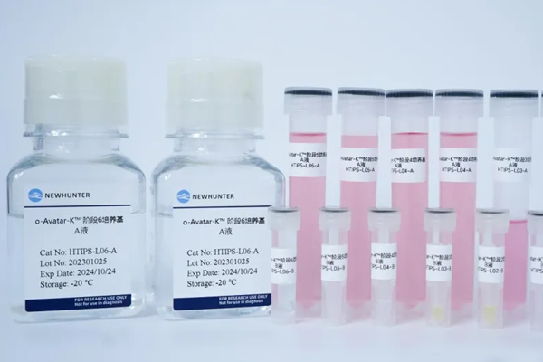 产品上新，买一送一丨首款 “发育级” 血管化肺/肠类器官试剂盒震撼上市，环特助力突破类器官血管化瓶颈！